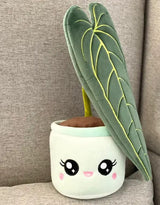 Blushiez BLUSHIEZ-PEL-AnthuriumQueen Peluche peluche - Anthurium 'Queen' - Blushiez vendu par Veille sur toi