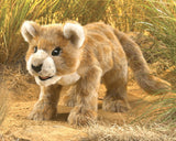 Folkmanis 3064 Marionnette - Lionceau d'Afrique - Folkmanis vendu par Veille sur toi