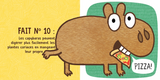 Maison d'édition Scholastic 9781039716162 Livre - 10 faits étonnants sur les capybaras - Scholastic vendu par Veille sur toi