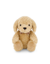 Snuggle Bunnies SB-174460 Peluche - Honey le chien - Snuggle Bunnies vendu par Veille sur toi