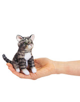 Folkmanis 2791 Marionnette à doigt - Mini chat tigré - Folkmanis vendu par Veille sur toi