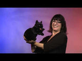 Marionnette - Chat noir - Folkmanis