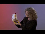 Marionnette - Poule Funky - Folkmanis