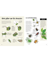 Livre 9781443177634 Livre - En pleine nature : Les bestioles vendu par Veille sur toi
