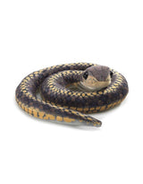 Marionnette à doigt - Serpent - Folkmanis Default marque Folkmanis vendu par Veille sur toi