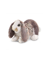 Marionnette bébé lapin longues oreilles Default marque Folkmanis vendu par Veille sur toi