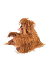 Marionnette - Bébé orang-outan - Folkmanis marque Folkmanis vendu par Veille sur toi