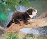 Marionnette - Loutre de rivière Default marque Folkmanis vendu par Veille sur toi