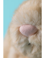 Jellycat BAS3HEX Peluche - Lapin de luxe Franilla - Jellycat vendu par Veille sur toi