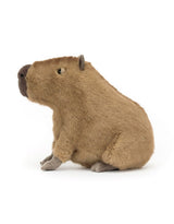 Jellycat CLY6C Peluche - Capybara - Clyde Capybara - Jellycat vendu par Veille sur toi