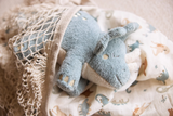 Jollein 037-001-67100 Peluche - Dinosaure - Jollein vendu par Veille sur toi