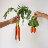 Oli & Carol L-MINDOU-CARROT Duo jouet de dentition et doudou - Cathy la Carotte - Oli & Carol vendu par Veille sur toi