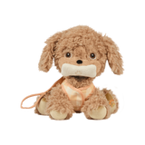 Olli Ella OEKDIN-DIN-GO-E Chien Dinkum - Goldie - Olli Ella vendu par Veille sur toi