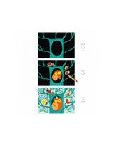 Djeco DJ00041 Cartes à gratter - Animaux à découvrir - Djeco vendu par Veille sur toi