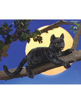 Folkmanis 2987 Marionnette - Chat noir - Folkmanis vendu par Veille sur toi