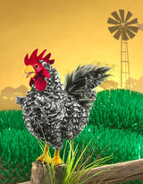 Folkmanis 3189 Marionnette - Coq Plymouth Rock - Folkmanis vendu par Veille sur toi