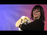 Marionnette - Lapin Lop debout - Folkmanis