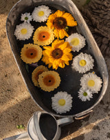 Oli & Carol L-SUNFLOWER-YELLOW Jouet de dentition - Sun le tournesol - Oli & Carol vendu par Veille sur toi